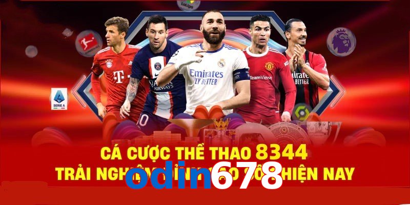 Đá Gà Philippines – Tinh Hoa Truyền Thống Và Thể Thao 